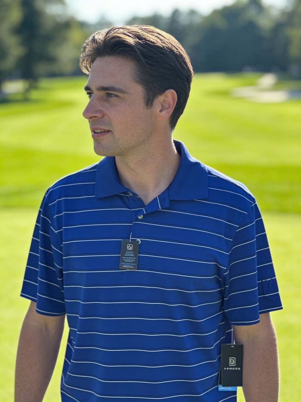 PGA Tour AirFlux Men's Blue Striped Performance Short Sleeve Golf Polo Shirt Siz